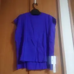 Item thumbnail for item 2b94205c-8a8e-4972-9858-e747080e54c4