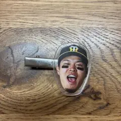 佐藤輝明選手　ヘヘアクリップ　阪神タイガースのサムネイル