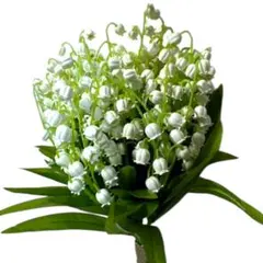 エレガント・スズランのブーケ＆ブーケトニアセット