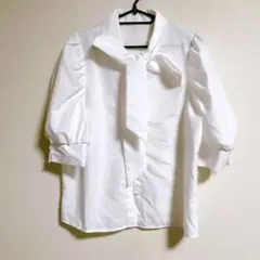 Item thumbnail for item 79d86865-f8e1-43ea-a749-ed8933b0acab