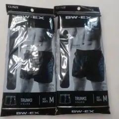 Item thumbnail for item ef845f35-f820-4fc5-ac90-b28f6039814a