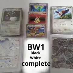 BW時代当時物　レシラム　ゼクロム　ホワイト　ブラック　ポケモンカードのサムネイル
