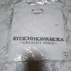 Item thumbnail for item 8dc96c8f-43ca-43be-8492-0a2686ad3240