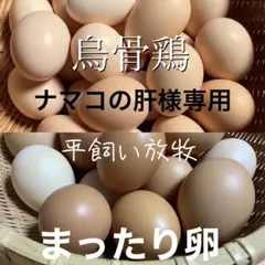 ナマコの肝様専用　烏骨鶏の卵20個　まったり卵20個　同梱のサムネイル
