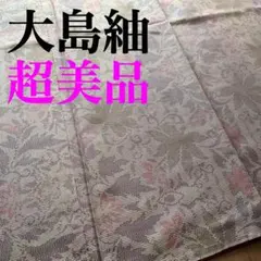 ⭐️超美品⭐️大島紬 正絹 くすみカラーに楓 紬 袷仕立