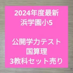 美品！浜学園4年マスターコース3教科フル＆6年理科サイエンス全冊 美品！浜学園4年マスターコース3教科フル＆6年理科サイエンス全