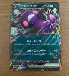 ポケモンカード モルペコex メガドリュウズex ラムパルドex - メルカリ
