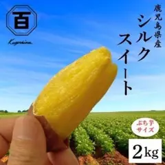 ぷち芋サイズ◎シルクスイート 2kg さつまいも さつま芋 466 - メルカリ