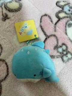 つぶらな瞳 水族館 じんべえざめ