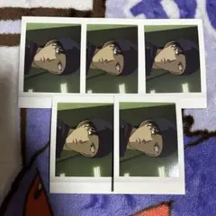 名探偵コナン ぱしゃこれ Vol.6 赤井秀一