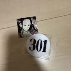 HUNTER×HUNTER イルミ ナンバープレート アクリルバッジ　ステッカー