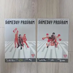 千葉ジェッツ　ホームゲーム来場特典　プログラム