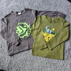 恐竜　T-Rex　長袖　2点セット　120