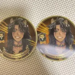 ツイステッドワンダーランド　3Dマグネット レオナ2枚セット