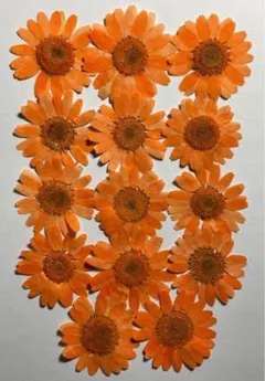 あやか様 リクエスト 2点 まとめ商品