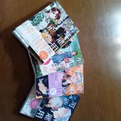 永年雇用は可能でしょうか 4巻セット