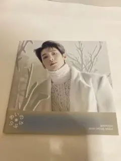 SEVENTEEN セブチ ウォヌ あいのちから CD トレカ 特典 まとめ売り