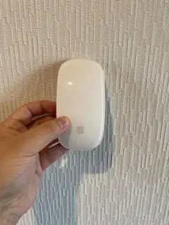 (2) Apple Magic Mouse2 使用感少なめ
