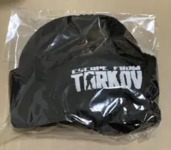 2026年最新】tarkov tgsの人気アイテム - メルカリ