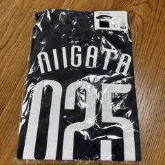 埼玉西武ライオンズ　Tシャツ Lサイズ