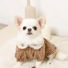monchéri★ペット用ワンピース Lサイズのサムネイル
