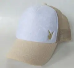 Item thumbnail for item fbdd5fa6-88fe-4f0a-bcae-eaa924500e70