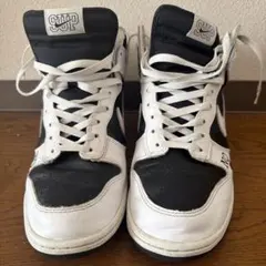NIKE SB SUPREME DUNKHIGH By Any Means