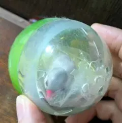 Item thumbnail for item 0f1fb160-576f-44b9-96cb-82954e2b3b00