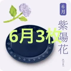 未開封・全種コンプリート】金麦 花やか皿 12枚セット 日比谷花壇