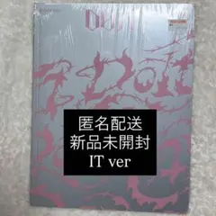 新品未開封 straykids DOIT itver IT盤 スキズ 通常盤