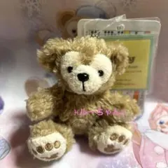 ダッフィーぬいぐるみチャーム✰︎