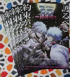 映画 銀魂 オンシアター 2D 一国傾城篇 フライヤー（チラシ）５枚セット☆
