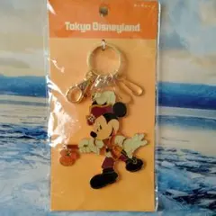 ディズニー　ハロウィン　キーチェーン