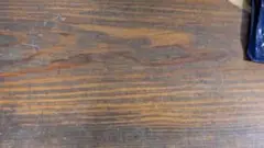 紙