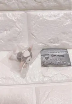 グレムリン　ギズモ　カプセルフロッキーズ　転ぶ