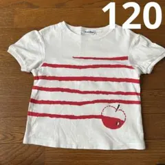 ファミリア　りんごTシャツ パフスリーブ　120cm
