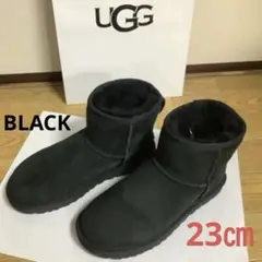 Item thumbnail for item a1d7e954-020c-47c1-8120-ef7896e06692