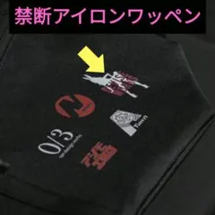 Item thumbnail for item 5d611f63-e3ed-4509-a366-cd77d7c0aa27