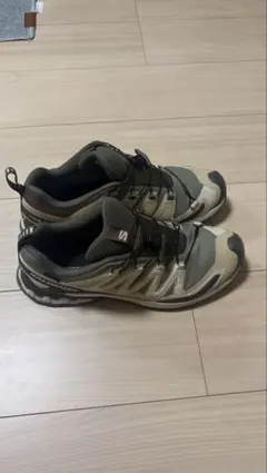 SALOMON 27cm トレラン XA PRO 3D V9 GTX