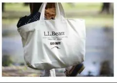 Item thumbnail for item b65302f2-9ac5-49f3-8e81-2c1d878f6499