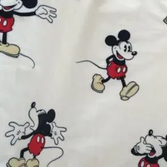 ディズニーストア ミッキー ブランケット 膝掛け 70cm×100cm