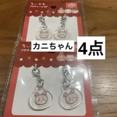 ちいかわプチチャーム　古本屋　カニちゃんチャーム　4点
