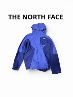 THE NORTH FACE マウンテンパーカー ブルー　テック系　swag