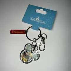 香港　ディズニーランド　キーホルダー