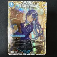 2026年最新】龍素王Qの人気アイテム - メルカリ
