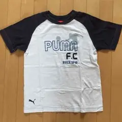 最終値下げ！ジュニア  プーマTシャツ 150㎝