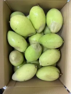 ベトナム産グリーンマンゴー1〜1.1kg(3〜6個)冷蔵発送 - メルカリ