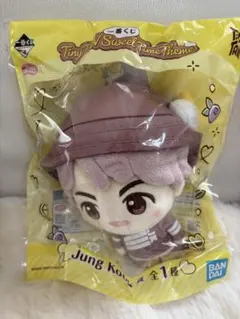 NCT127 ジェヒョン 40cm ぬいぐるみ 現品限り＊NCT127 ジェヒョン 20cmぬいぐるみ - メルカリ