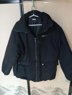 Item thumbnail for item d0d4f62d-293d-48a2-8e45-555f7005446e