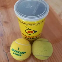 DUNLOP FORT テニスボール ２個入り